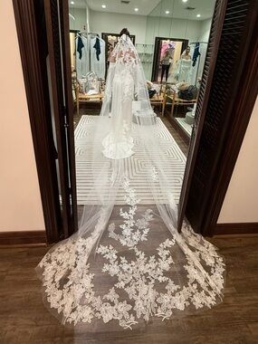 Pronovias White Long Lace Cathedral Wedding Veil V-LA49